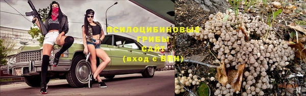 экстази Алзамай