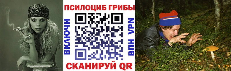 Галлюциногенные грибы прущие грибы  сколько стоит  kraken сайт  Мичуринск 